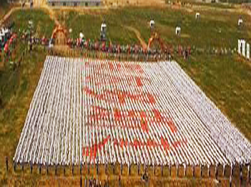 人體多米諾世界紀(jì)錄.jpg 人體多米諾世界紀(jì)錄.jpg