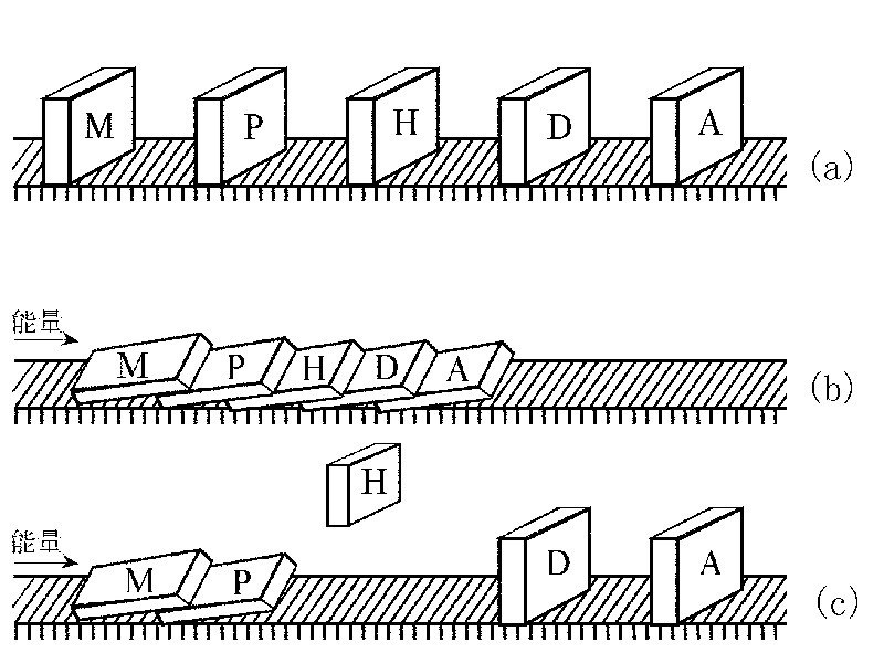多米諾骨牌理論.jpg 多米諾骨牌理論.jpg