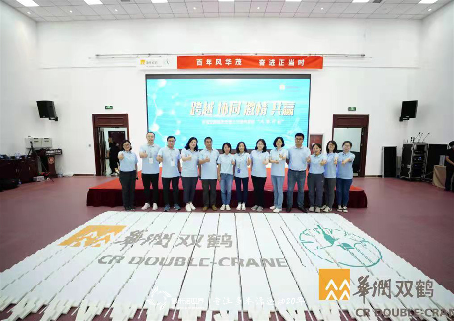 雙鶴風(fēng)華計(jì)劃-多米諾骨牌團(tuán)隊(duì)大挑戰(zhàn)