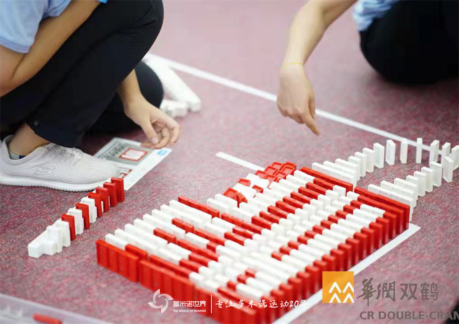 雙鶴風(fēng)華計(jì)劃-多米諾骨牌團(tuán)隊(duì)大挑戰(zhàn)